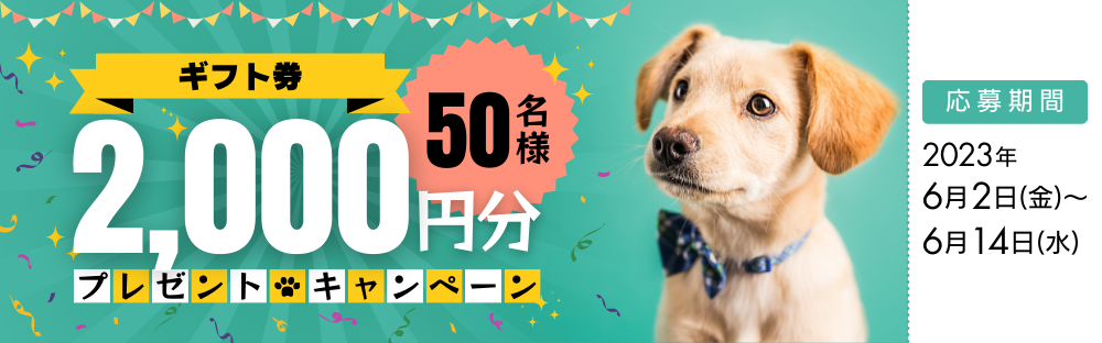 【Perroleキャンペーン】Amazonギフト券2000円分を50名様にプレゼント！